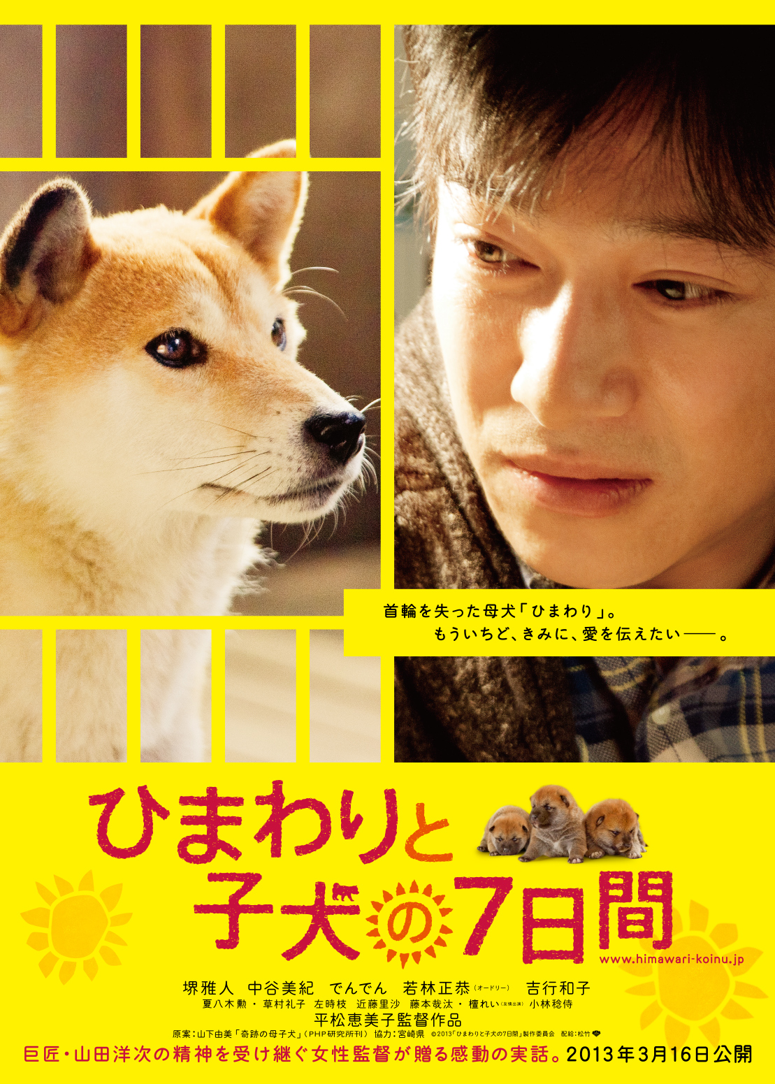 7 Days of Himawari & Her Puppies (2013)