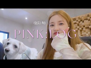 PINK:LOG (2022)